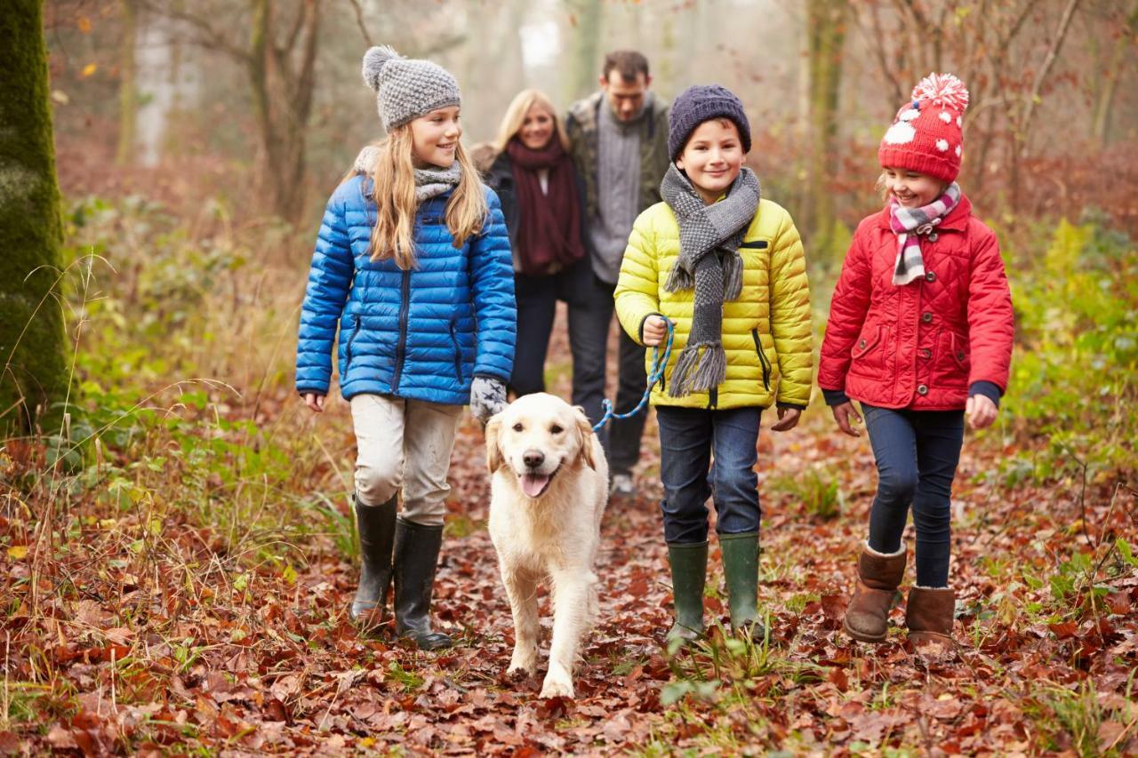 Macdonald Woodland Lodges At Macdonald Aviemore Resort Екстериор снимка